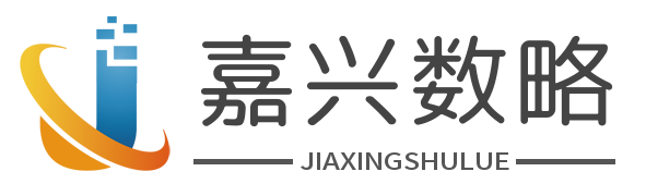 嘉兴数略信息科技有限责任公司